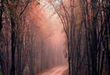 曼联蓝月亮在欧冠赛场上闪耀，实现惊人的表现