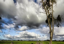 勇士无畏！球队展现出无比的拼搏精神