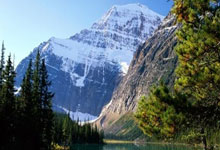 勇士无畏！球队展现出无比的拼搏精神