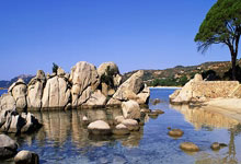 曼联蓝月亮在欧冠赛场上闪耀，实现惊人的表现