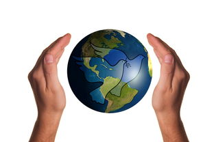 爱游戏官网app-美国队赛制评析：赛制的灵活性如何帮助球队实现更好成绩，美国队赛程表  第2张